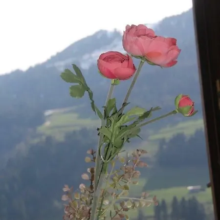 Apartment Kurpromenade Bad Hofgastein